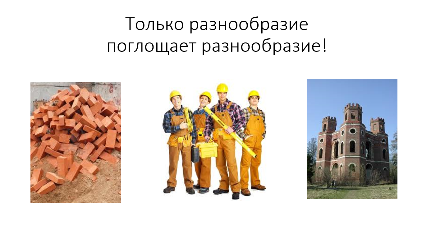 Слайд 08 разнообразие Слайд 08 разнообразие